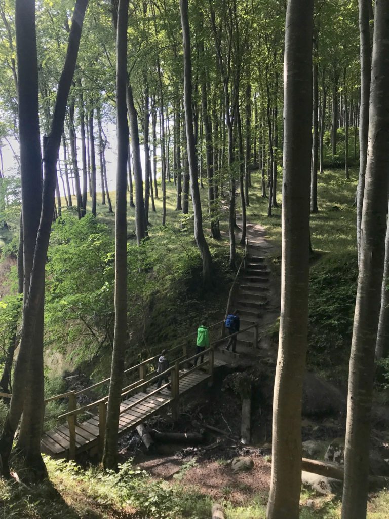 Unsere Wanderung am Hochuferweg entlang der Kreideküste Rügen