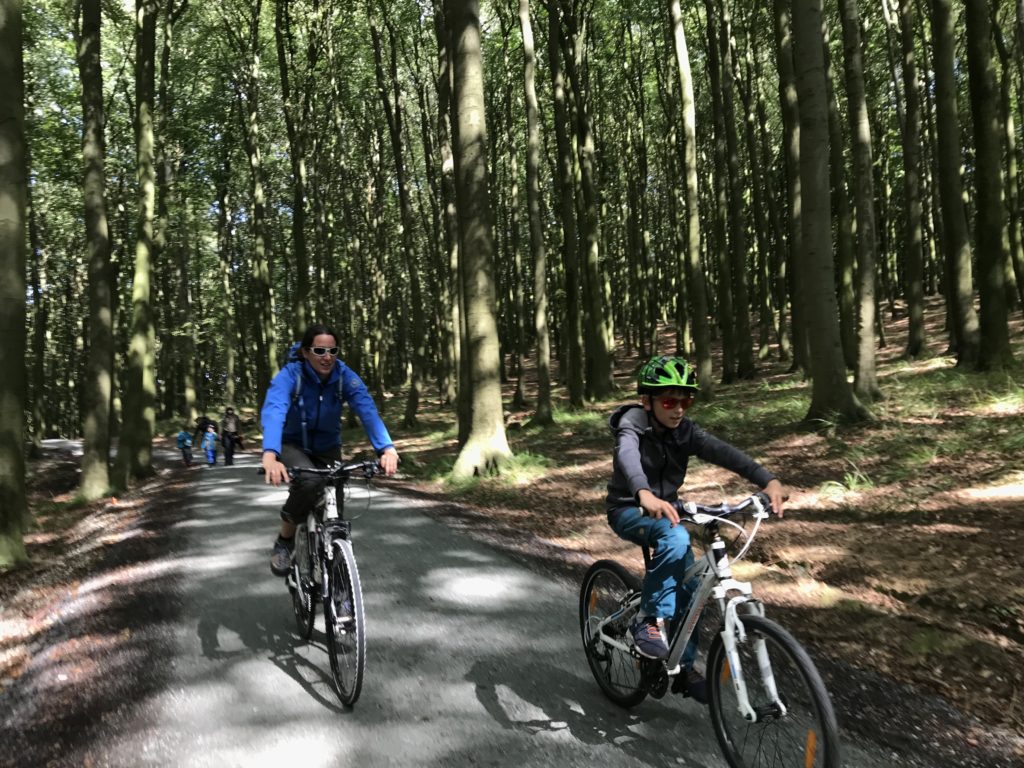Zu den Kreidefelsen Rügen mit dem Fahrrad - vom Parkplatz bis zum Nationalparkzentrum ist es offiziell erlaubt, entlang der Kreideküste verboten
