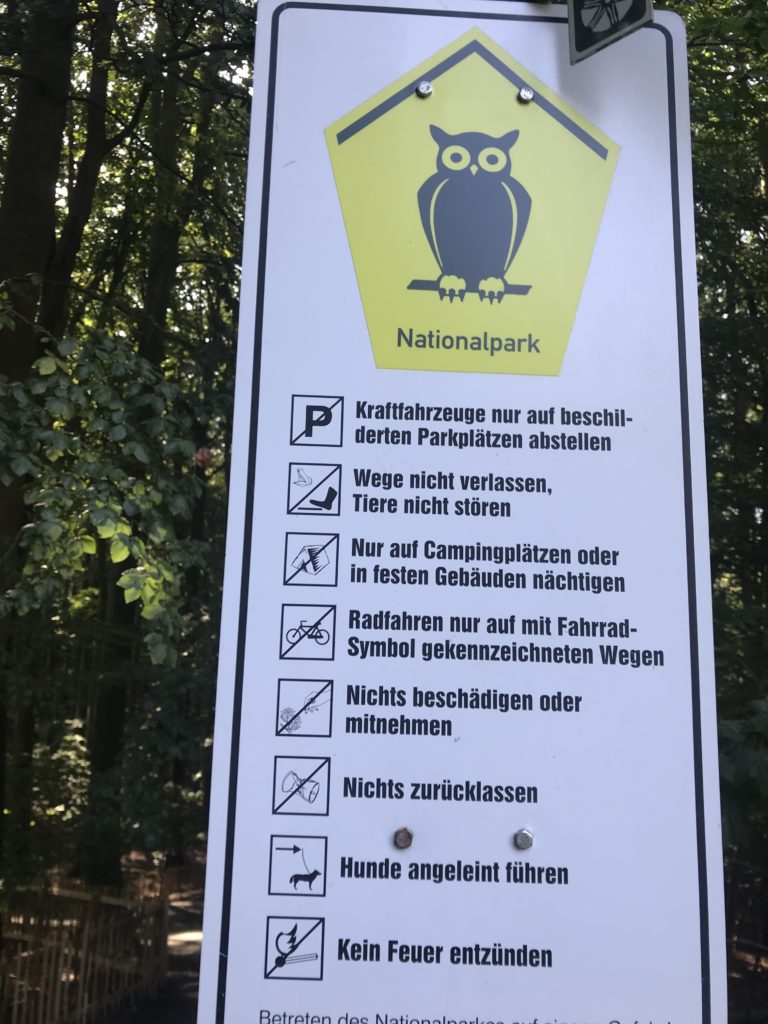 Nationalpark Jasmund - das ist bei deiner Kreidefelsen Rügen Wanderung zu beachten