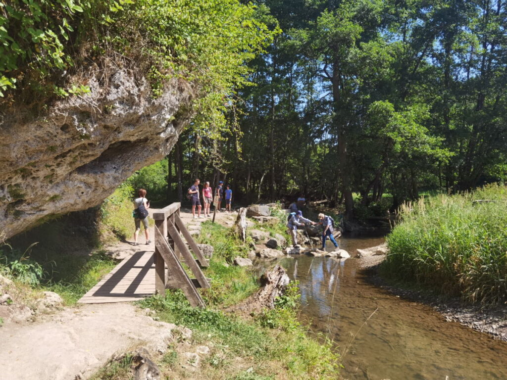 wachsender Felsen am Dreimühlen Wasserfall in der Eifel