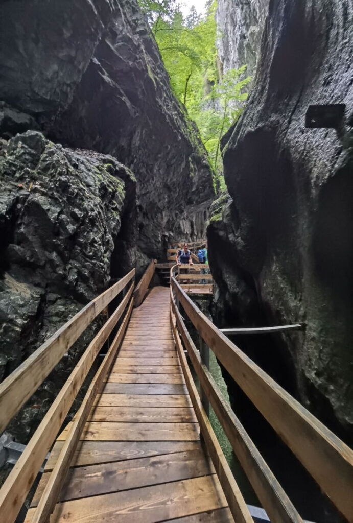 Meterhohe Felsformationen in der Alplochschlucht