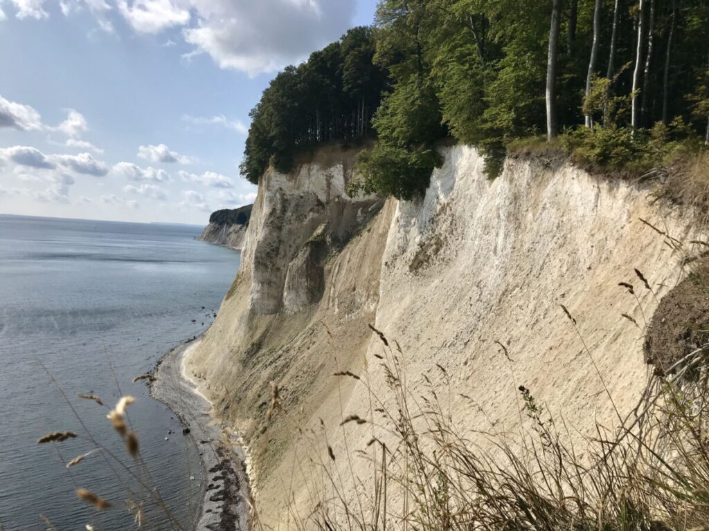 Die Steilküste Rügen ist einmalig in Europa