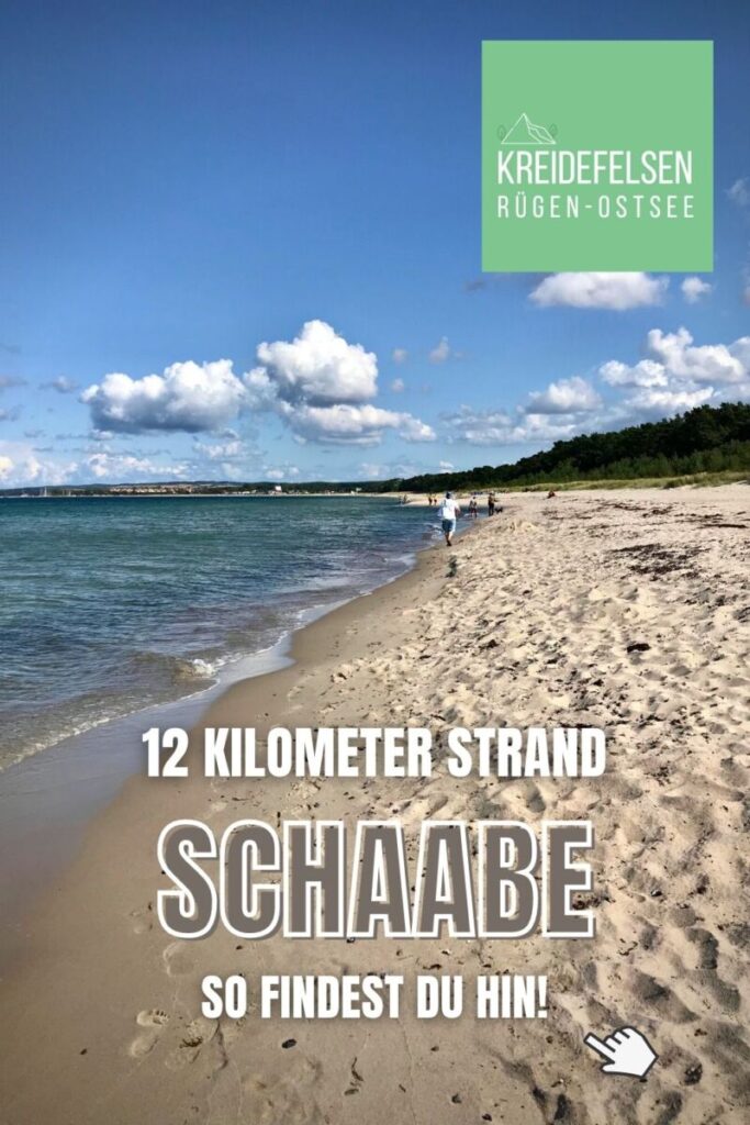 Schaabe